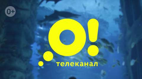 Телеканал «О!» получил премию «Медиабренд»