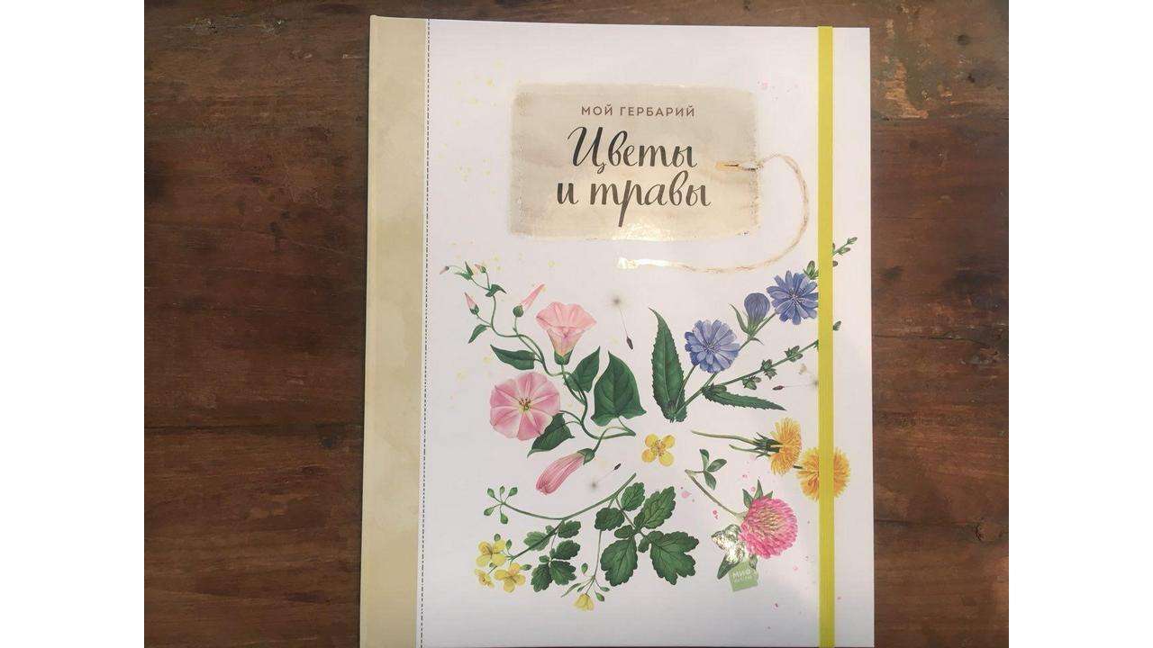 «Мой гербарий. Цветы и травы», Анна Васильева, Светлана Винникова