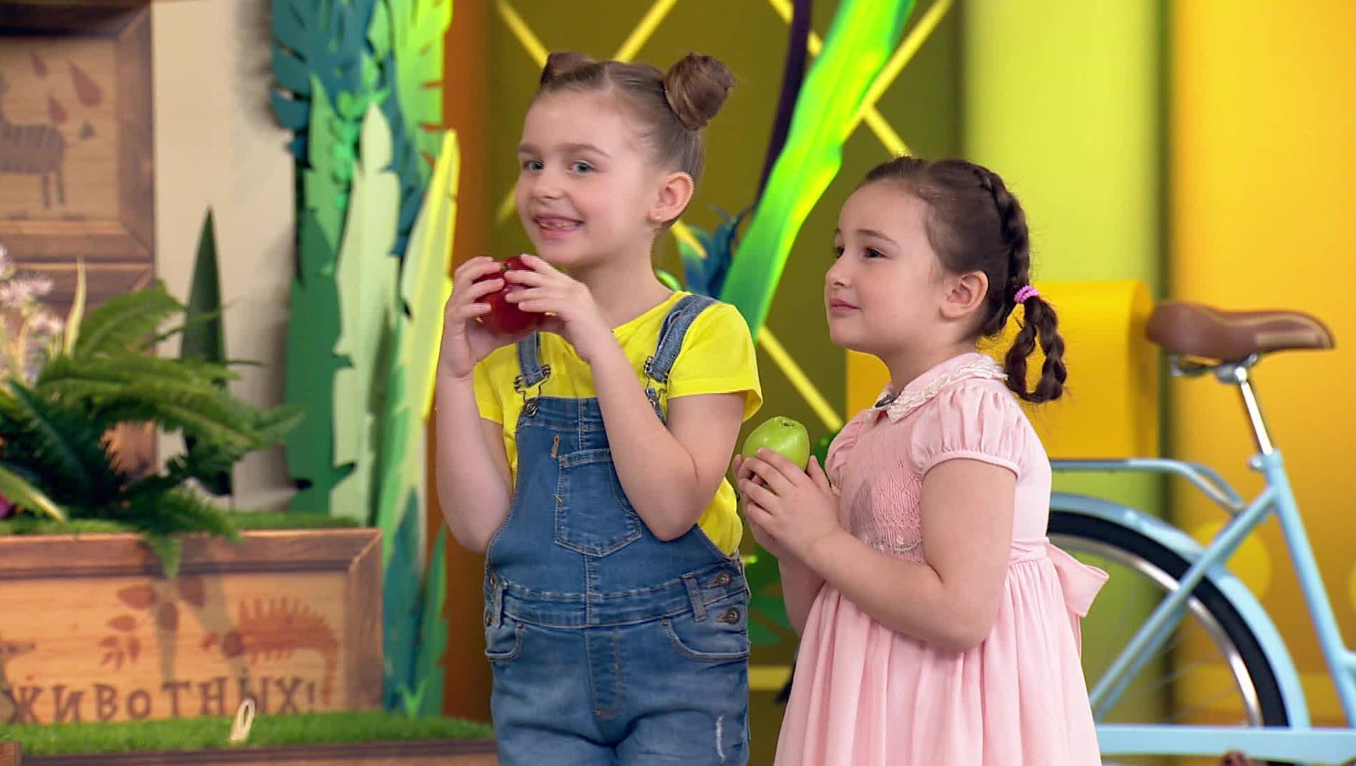 Лапы, морды и хвосты Телеканал «О!»