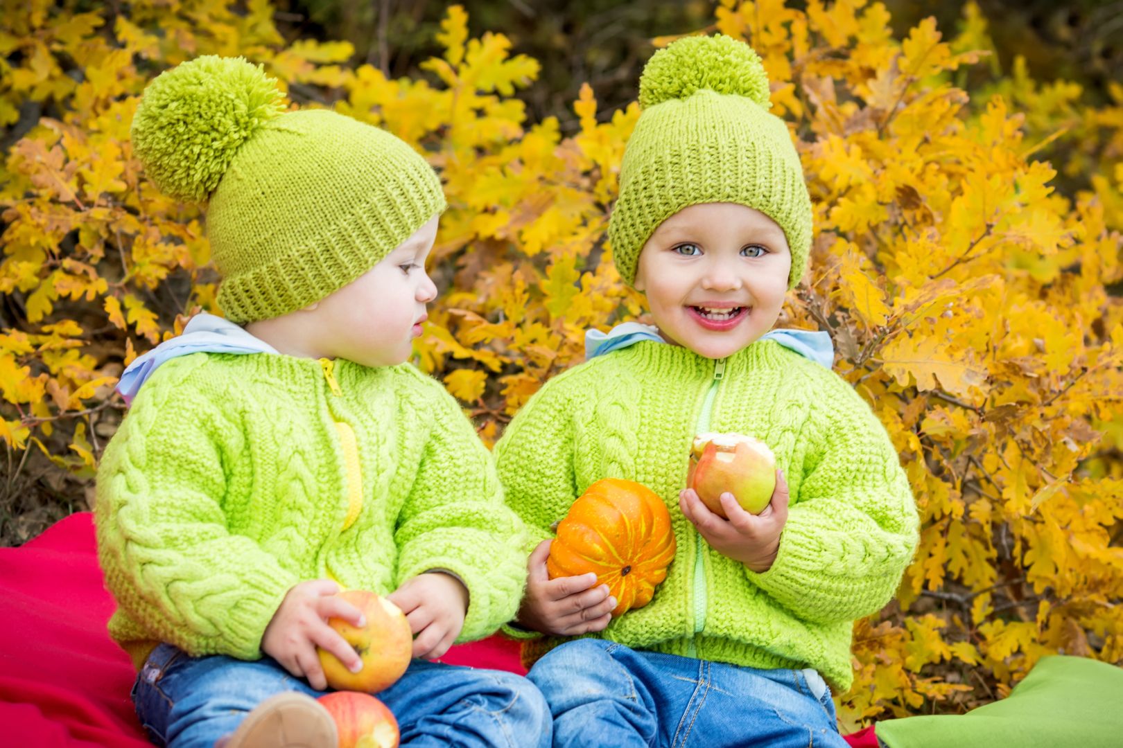 Как найти своего близнеца в мире по фото бесплатно