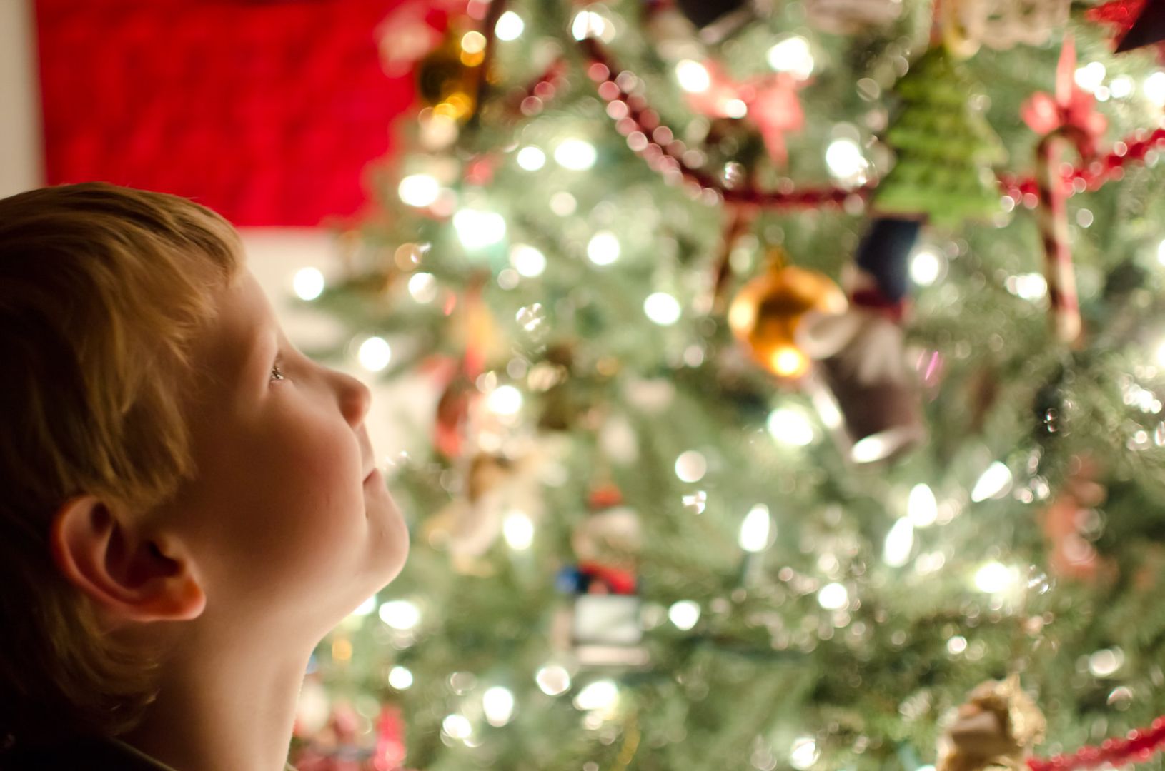 Новогодней елки 5. Новогоднее чудо. Елка для детей. Православное Рождество елка. Чудеса под новый год.