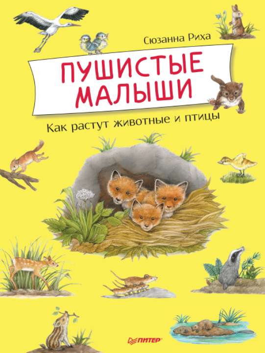 «Питер»