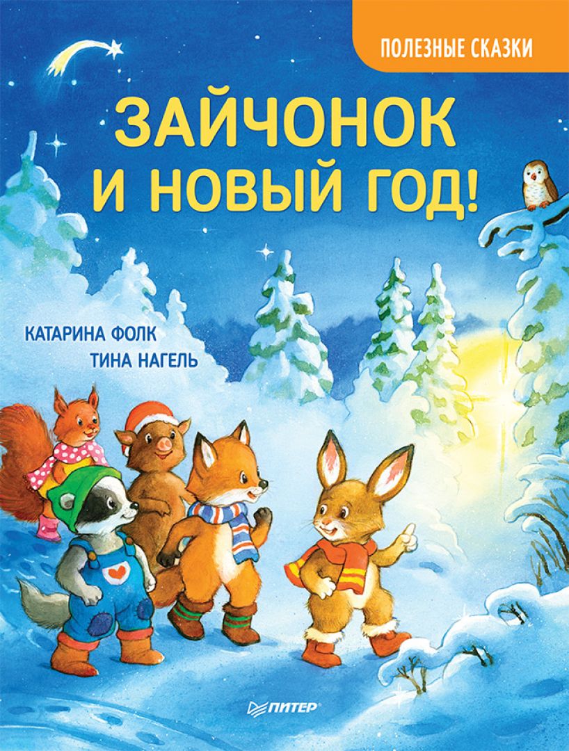 Самый Снежный Новый Год Книга