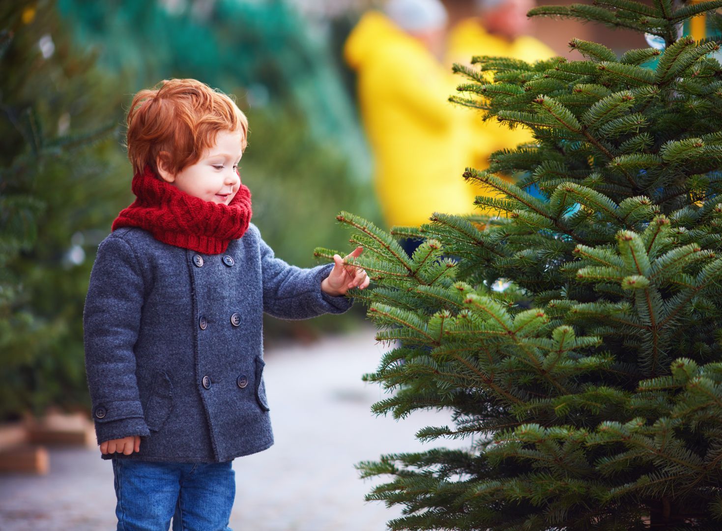 мальчик у елки. елка для детей. мальчик и девочка возле елки. в каких елках мальчик ищет маму. фотосессия у елки.