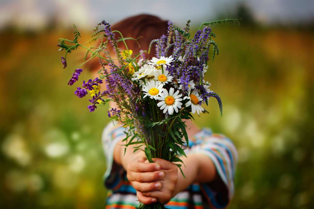 Фото: Zaitsava Olga/Shutterstock