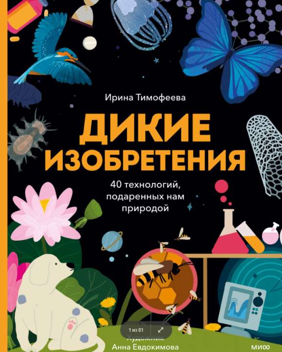 МИФ МИФ