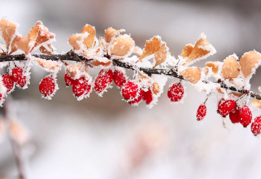 Фото: Olena Shvets/Shutterstock Фото: Olena Shvets/Shutterstock