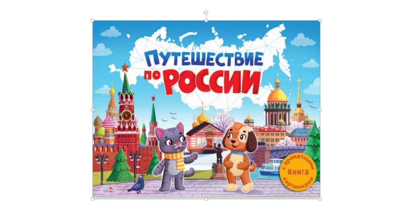 0+ «Стрекоза» 0+ «Стрекоза»