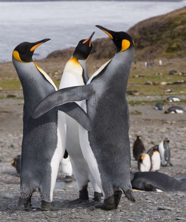 Фото: Robert Harding Video/Shutterstock