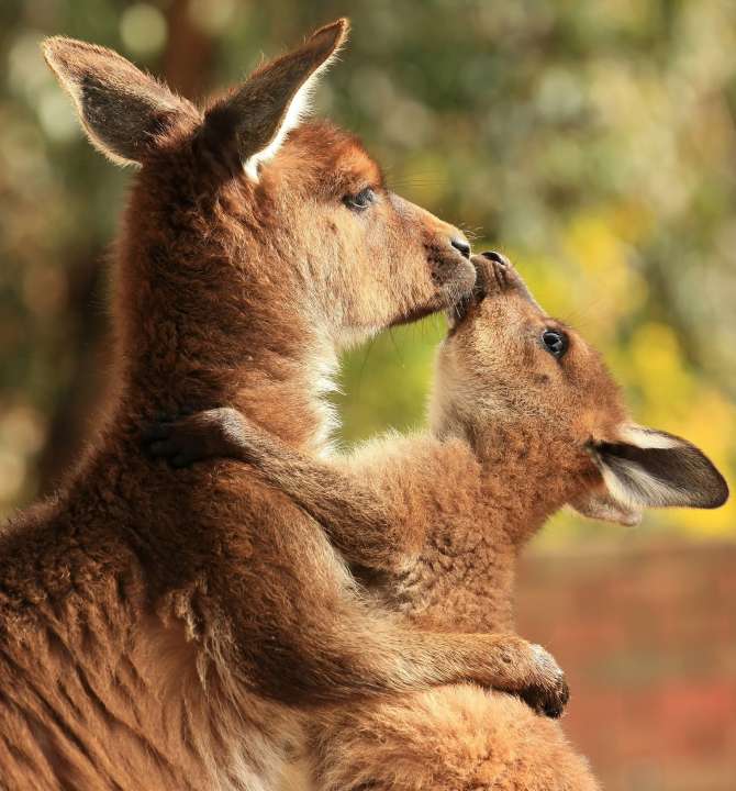 Фото: K.A.Willis/Shutterstock