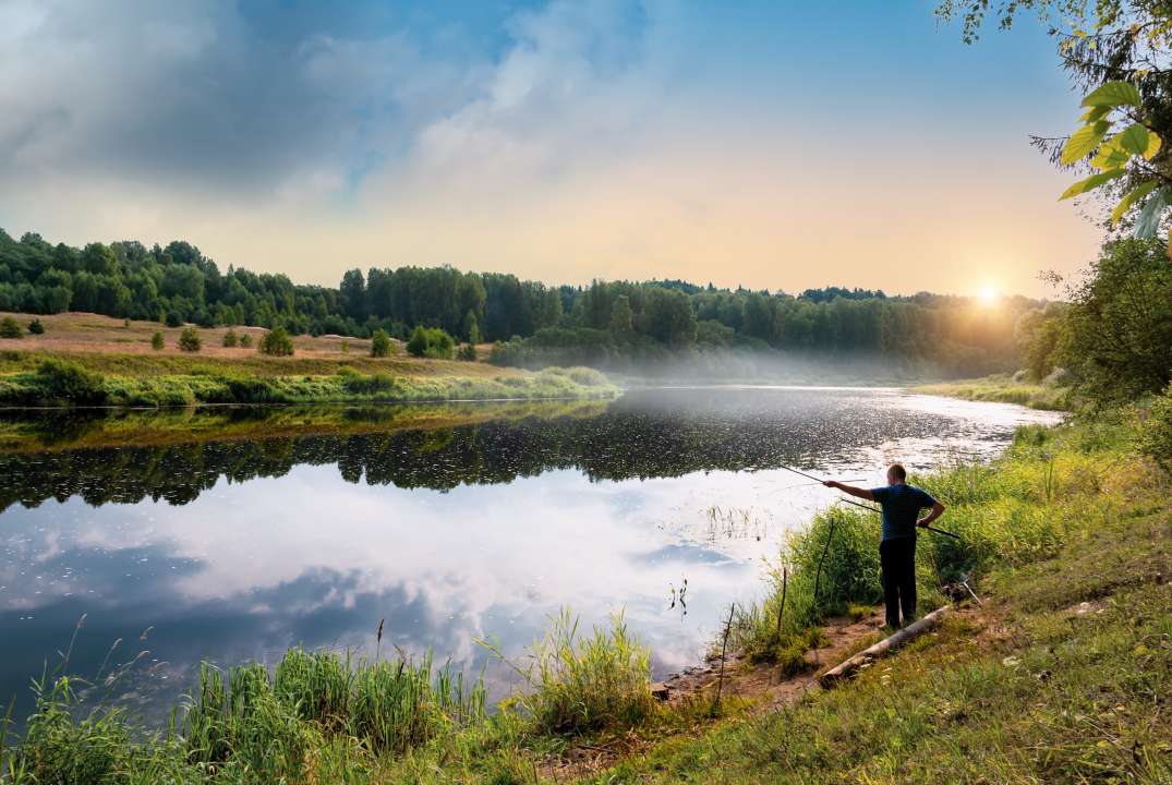 У верховья Волги в Тверской области Фото: alexo99alex/Shutterstock