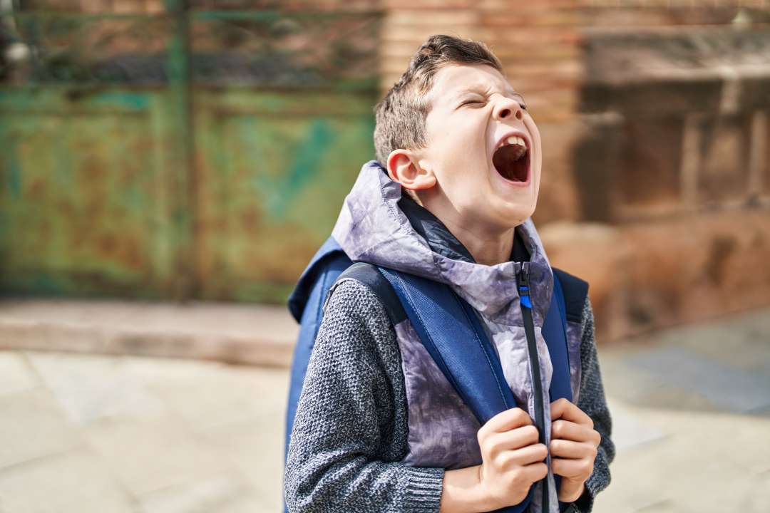 Фото: Krakenimages.com/Shutterstock